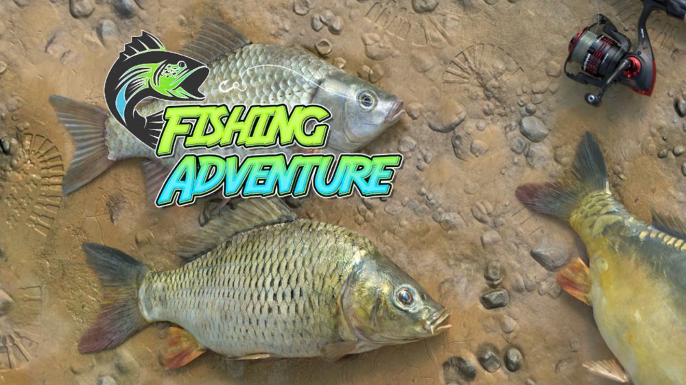 钓鱼冒险Fishing Adventure nsz 网盘下载