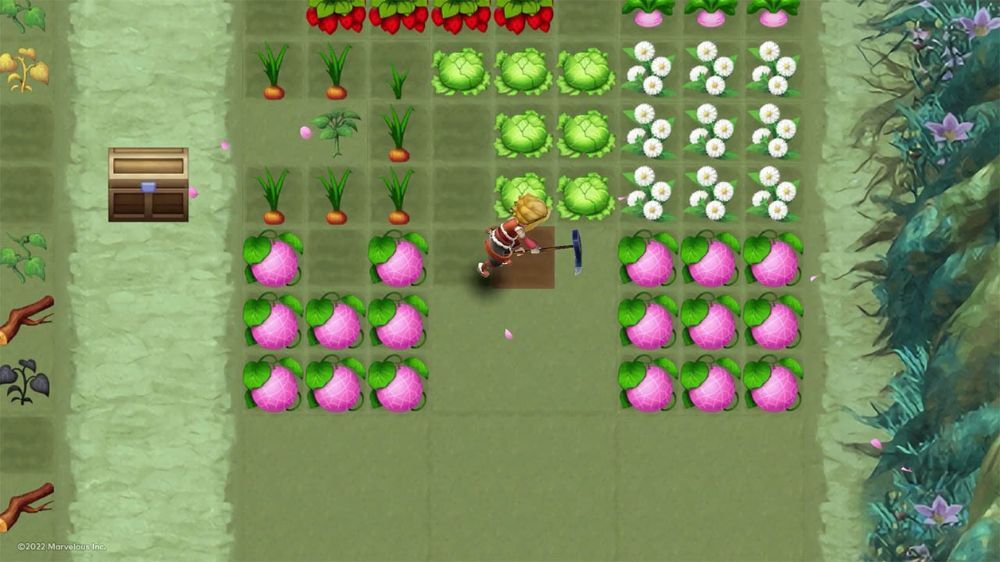 符文工坊3特别版Rune Factory 3 Special