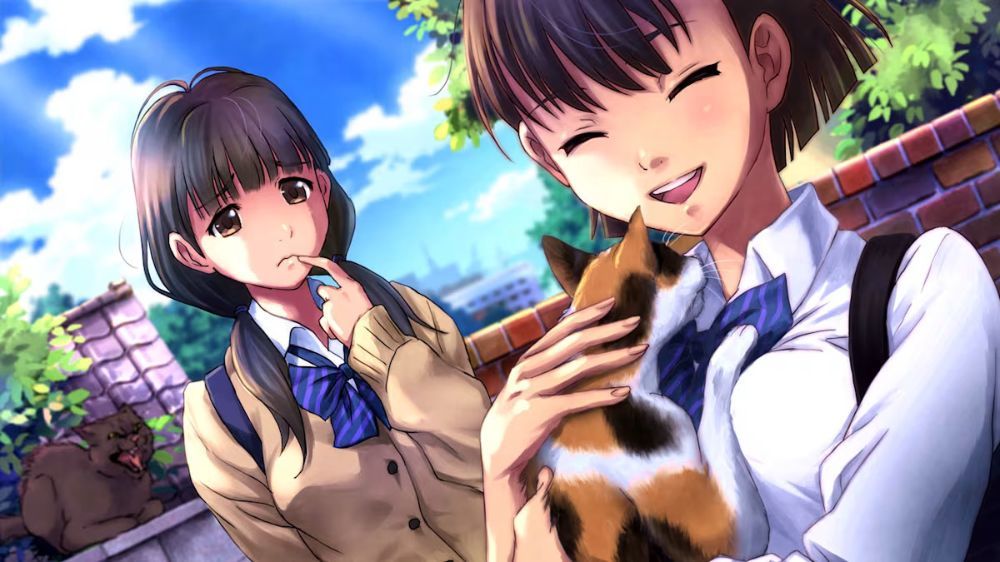 言灵：藤泽七大秘密Kotodama: The 7 Mysteries of Fujisawa