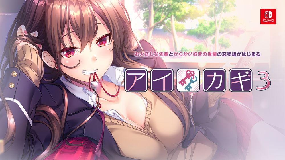 爱之钥3 Aikagi 3