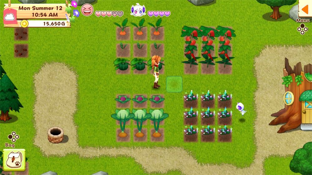 牧场物语：希望之光特别版Harvest Moon: Light of Hope Special Edition