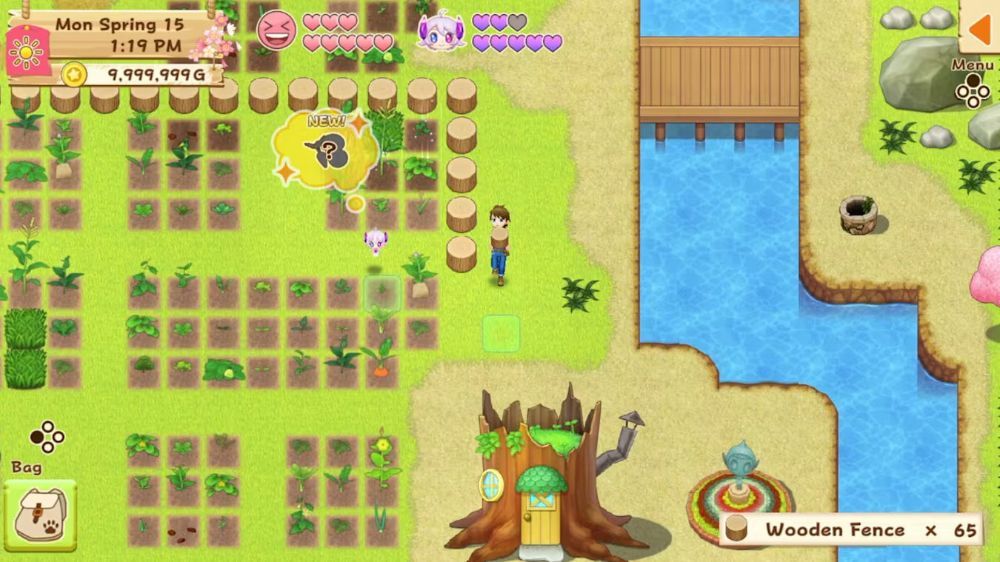 牧场物语：希望之光特别版Harvest Moon: Light of Hope Special Edition