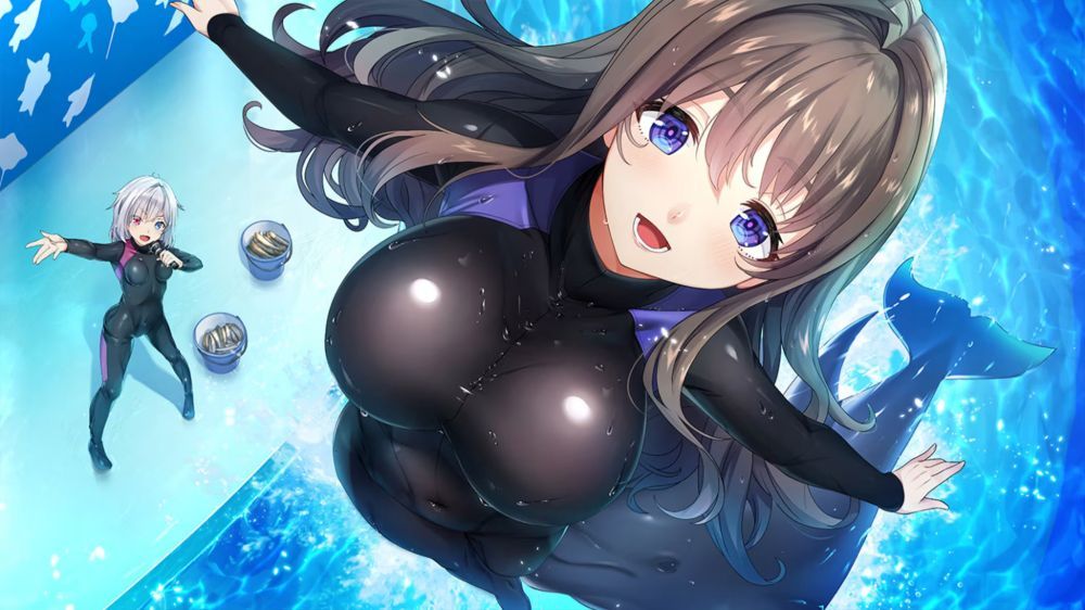 和女忍者的同居生活2 NinNinDays2 和女忍者的同居生活2 NinNinDays2