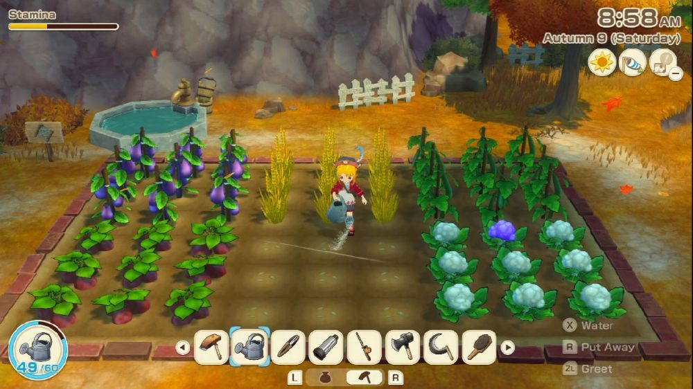 牧场物语来吧！风之繁华市集 Story of Seasons: Grand Bazaar